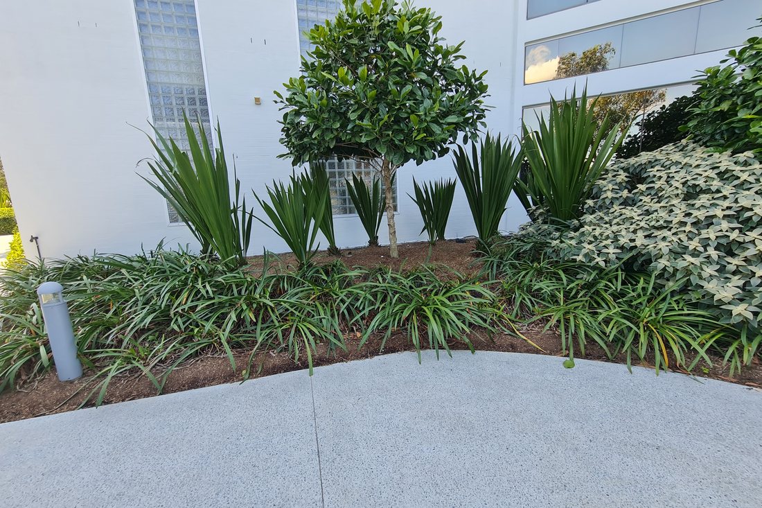 Garden Square — finished planter bed detail at a modern building facade